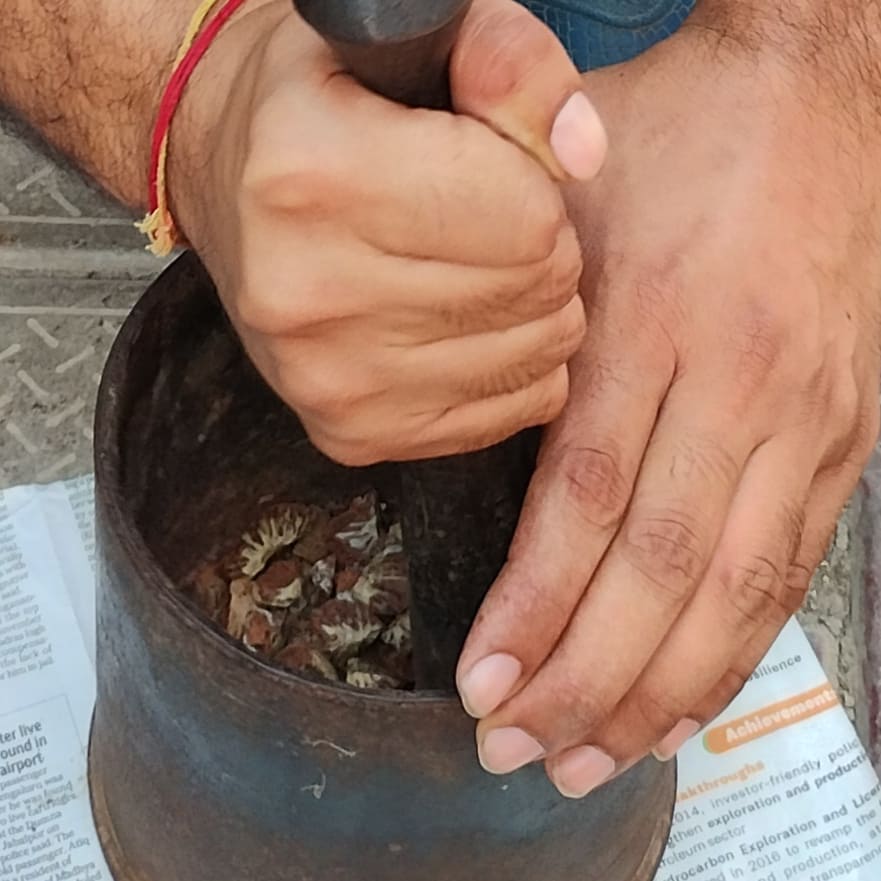 Ayurvedic therapies and herbs